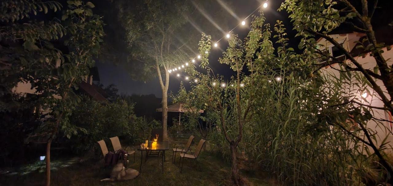 Forest Inn Izvorani المظهر الخارجي الصورة