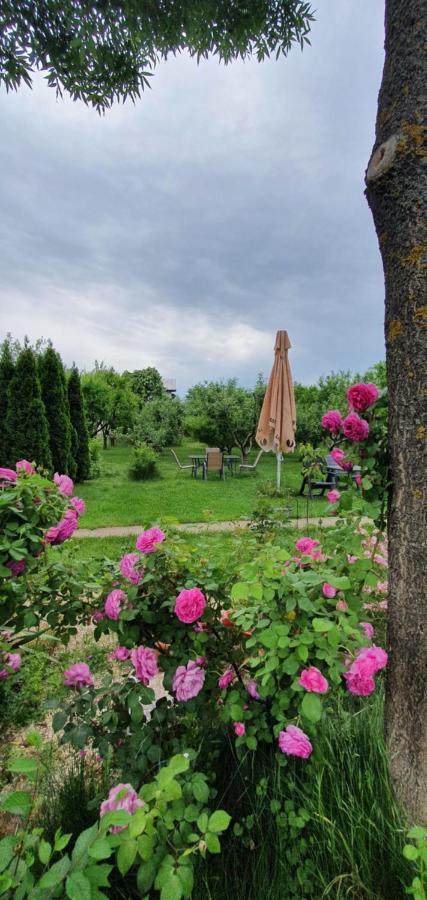 Forest Inn Izvorani المظهر الخارجي الصورة