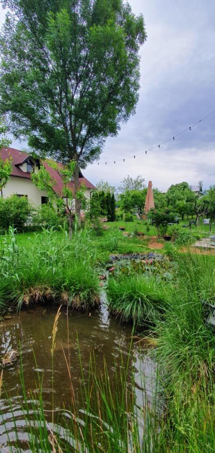 Forest Inn Izvorani المظهر الخارجي الصورة