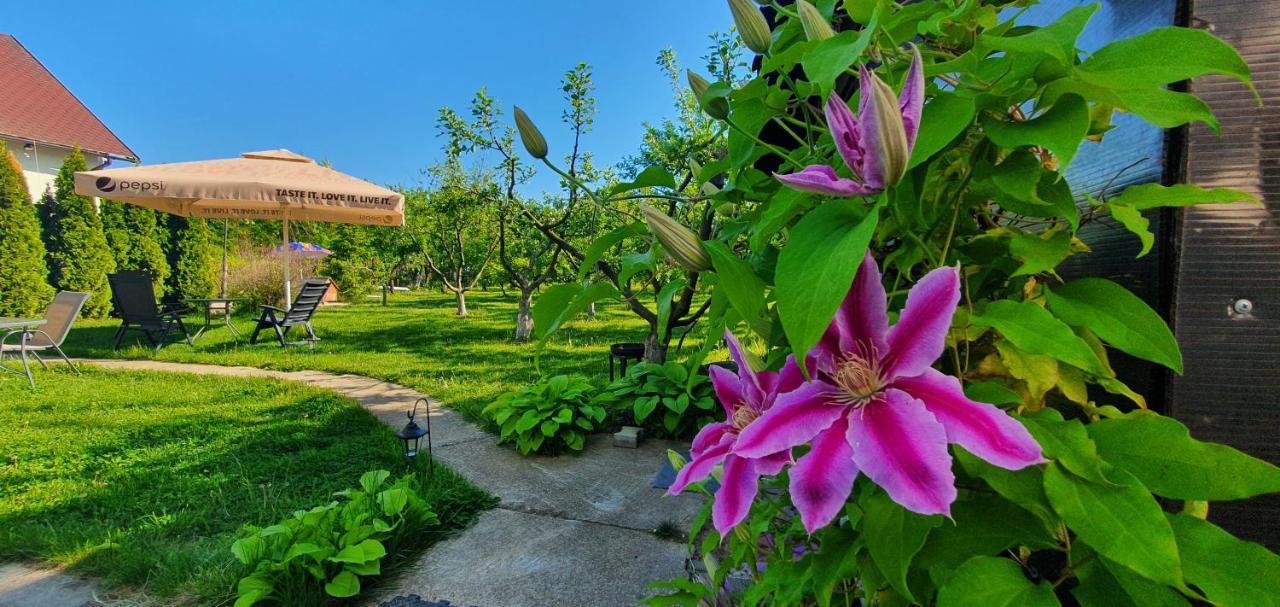 Forest Inn Izvorani المظهر الخارجي الصورة